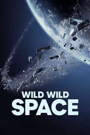 Wild Wild Space